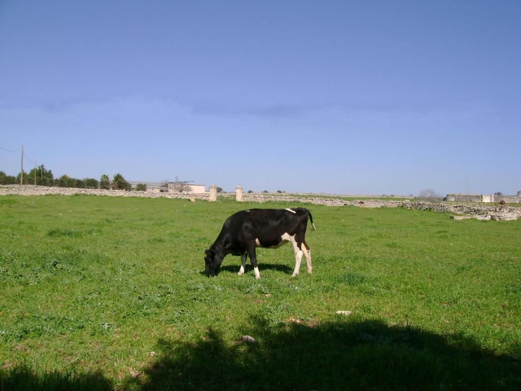 Masseria Cassiere Mottola Esterno foto