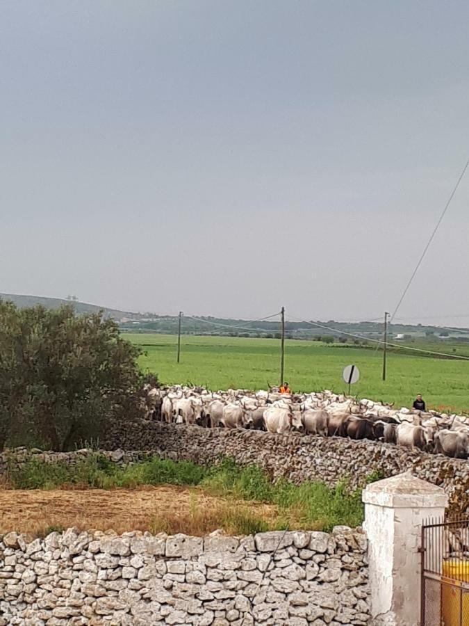 Masseria Cassiere Mottola Esterno foto